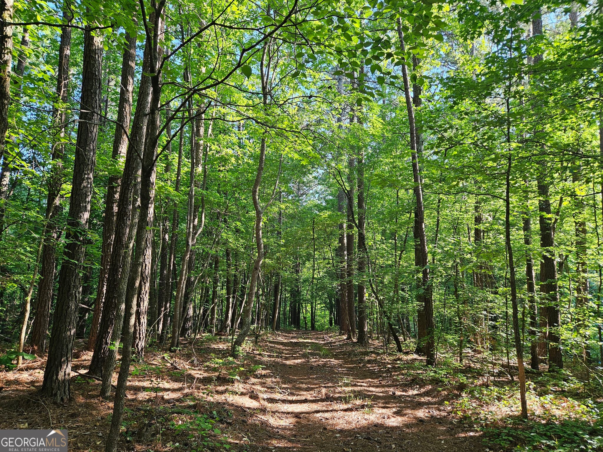 residential lot for sale at 0 Ponderosa, Dallas, GA 30132 — photo 6
