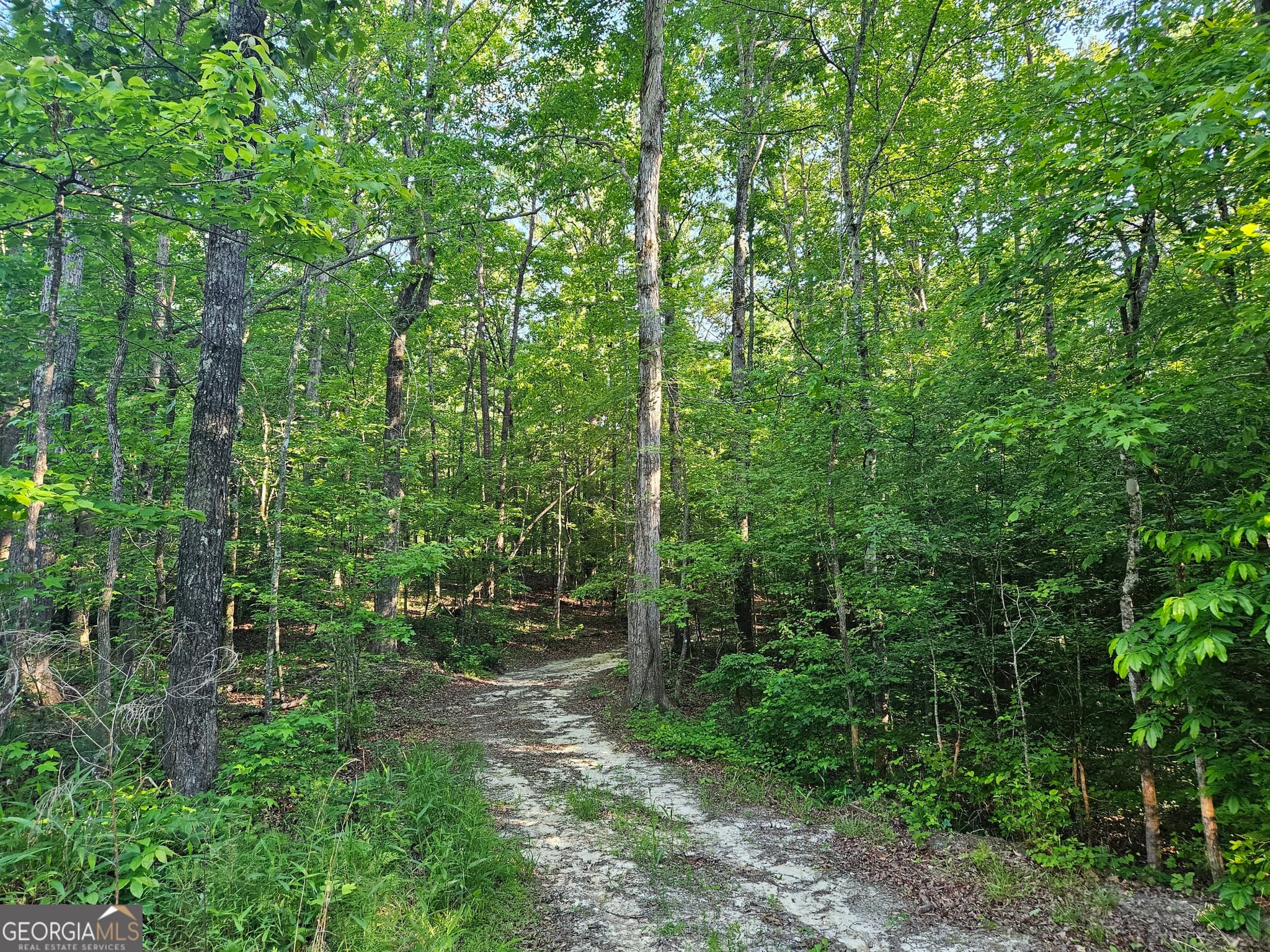 residential lot for sale at 0 Ponderosa, Dallas, GA 30132 — photo 7
