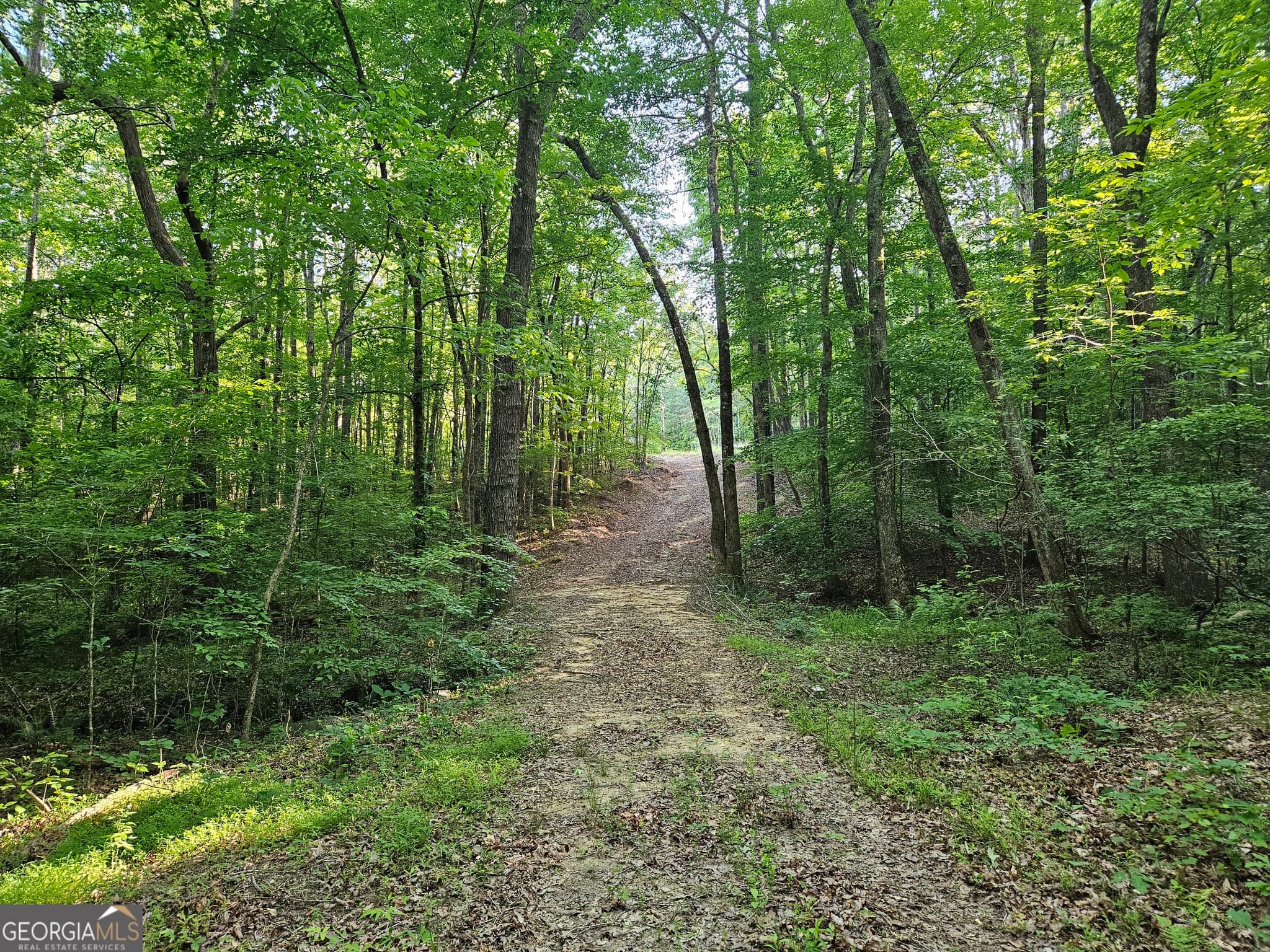 residential lot for sale at 0 Ponderosa, Dallas, GA 30132 — photo 9