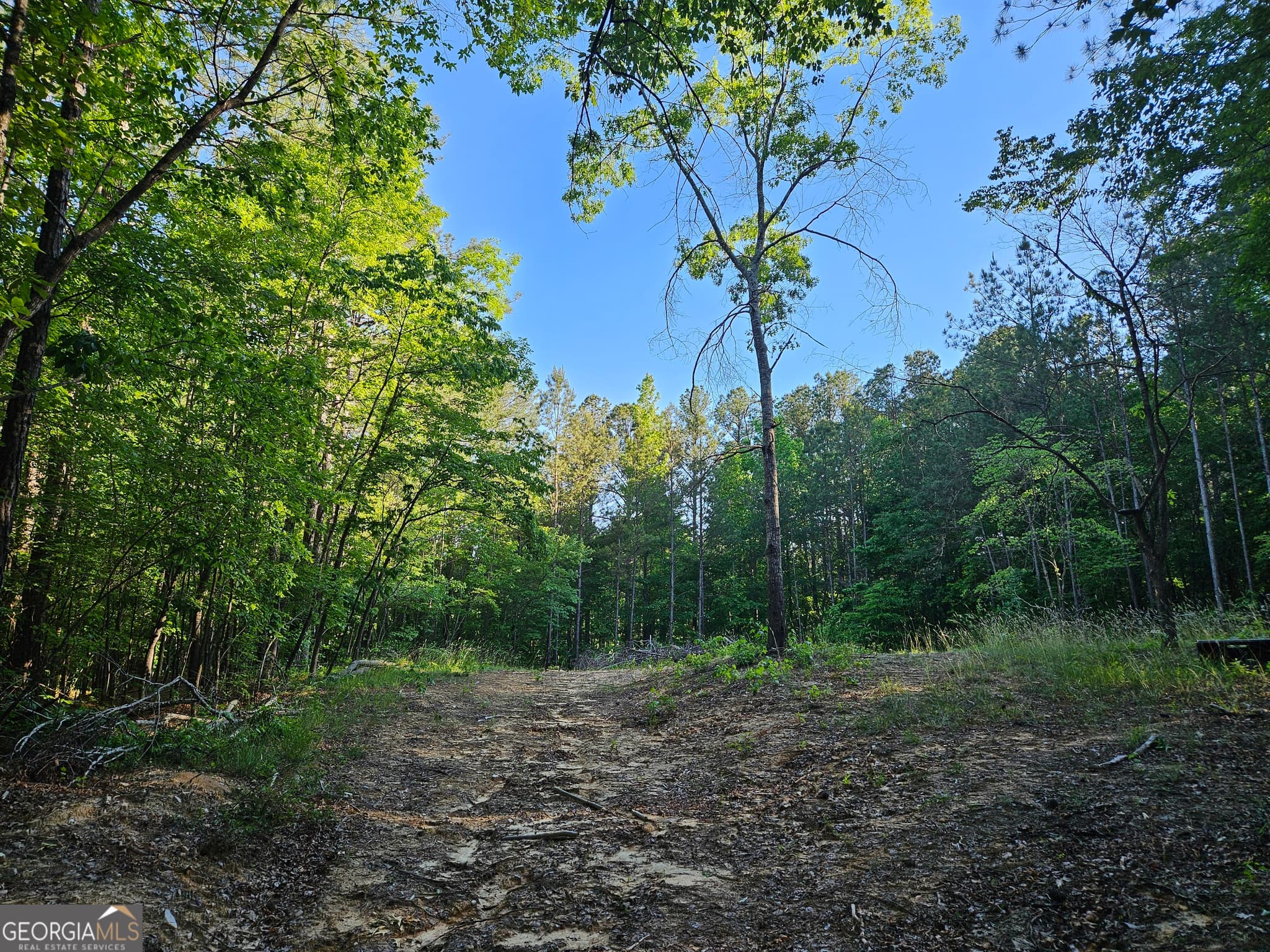 residential lot for sale at 0 Ponderosa, Dallas, GA 30132 — photo 10