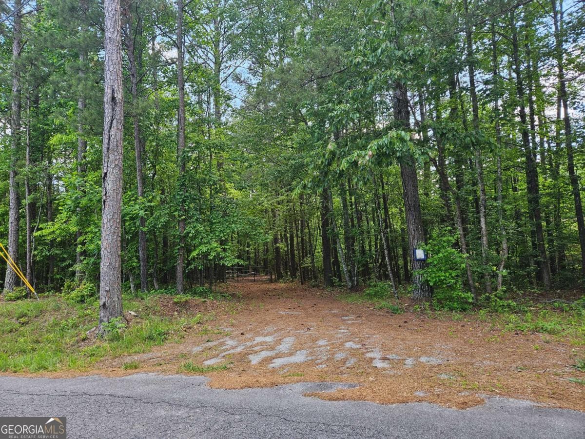 residential lot for sale at 0 Ponderosa, Dallas, GA 30132 — photo 4