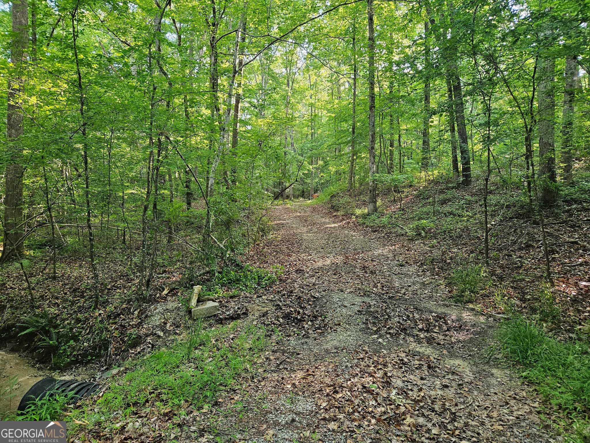 residential lot for sale at 0 Ponderosa, Dallas, GA 30132 — photo 8