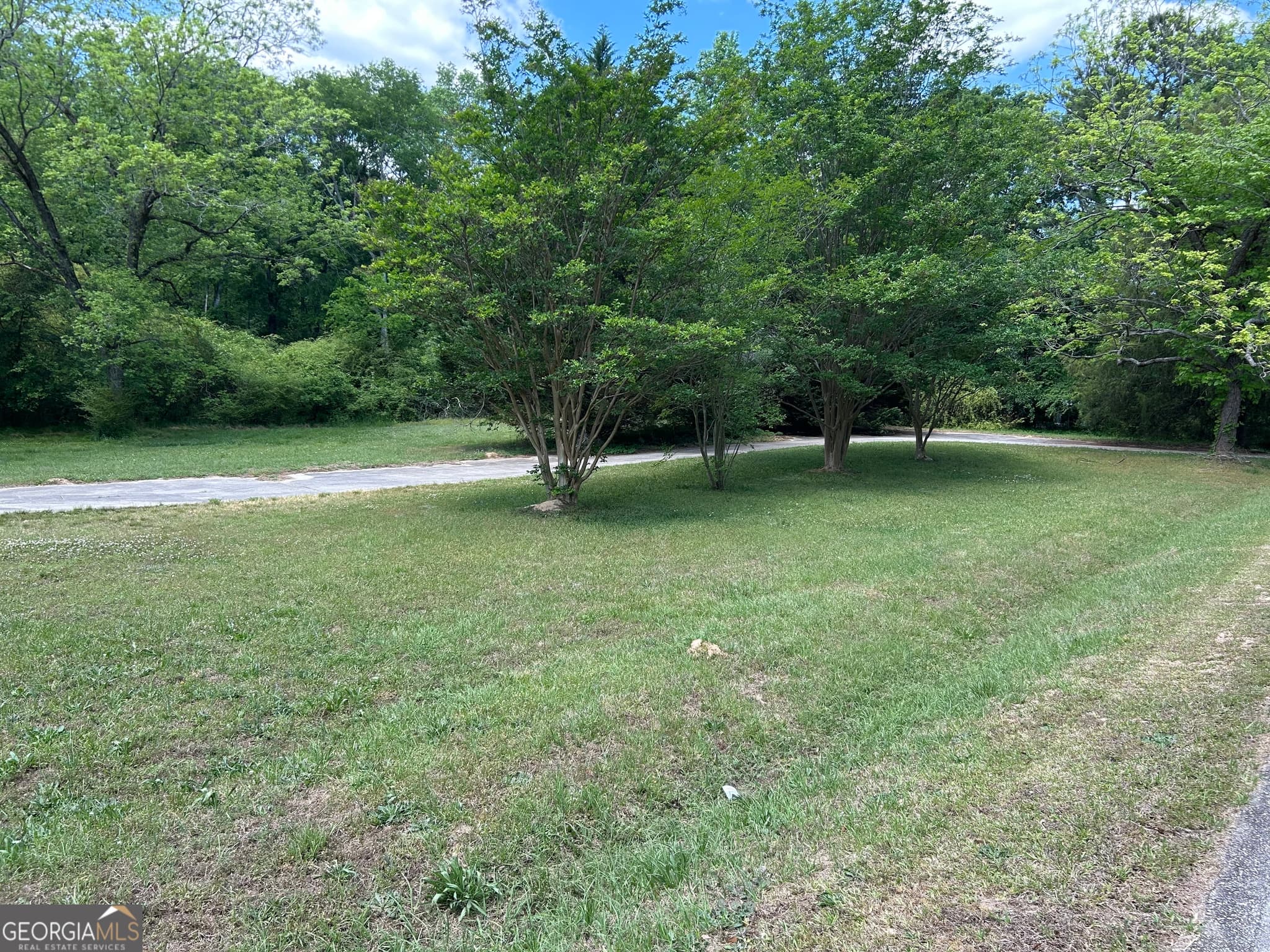 residential lot for sale at 1120 Pittsburg Avenue, White Plains, GA 30678 — photo 3