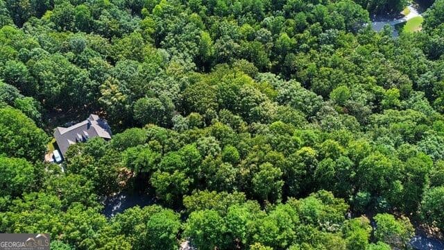 residential lot for sale at 0 Rome Beauty Lane LOT 1109, Clarkesville, GA 30523 — photo 6