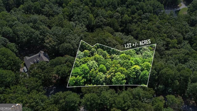 residential lot for sale at 0 Rome Beauty Lane LOT 1109, Clarkesville, GA 30523 — photo 7