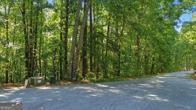 residential lot for sale at 0 Rome Beauty Lane LOT 1109, Clarkesville, GA 30523 — photo 1 of 9