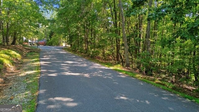 residential lot for sale at 0 Rome Beauty Lane LOT 1109, Clarkesville, GA 30523 — photo 9