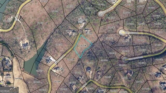 residential lot for sale at 0 Rome Beauty Lane LOT 1109, Clarkesville, GA 30523 — photo 4