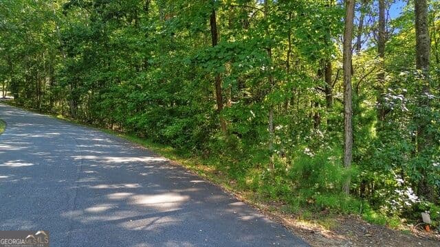 residential lot for sale at 0 Rome Beauty Lane LOT 1109, Clarkesville, GA 30523 — photo 8