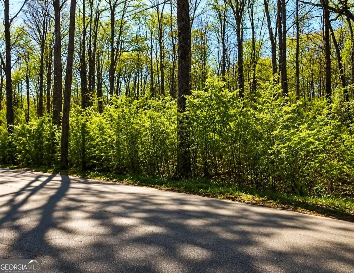 residential lot for sale at 4523 Riverside Drive, Lilburn, GA 30047 — photo 6