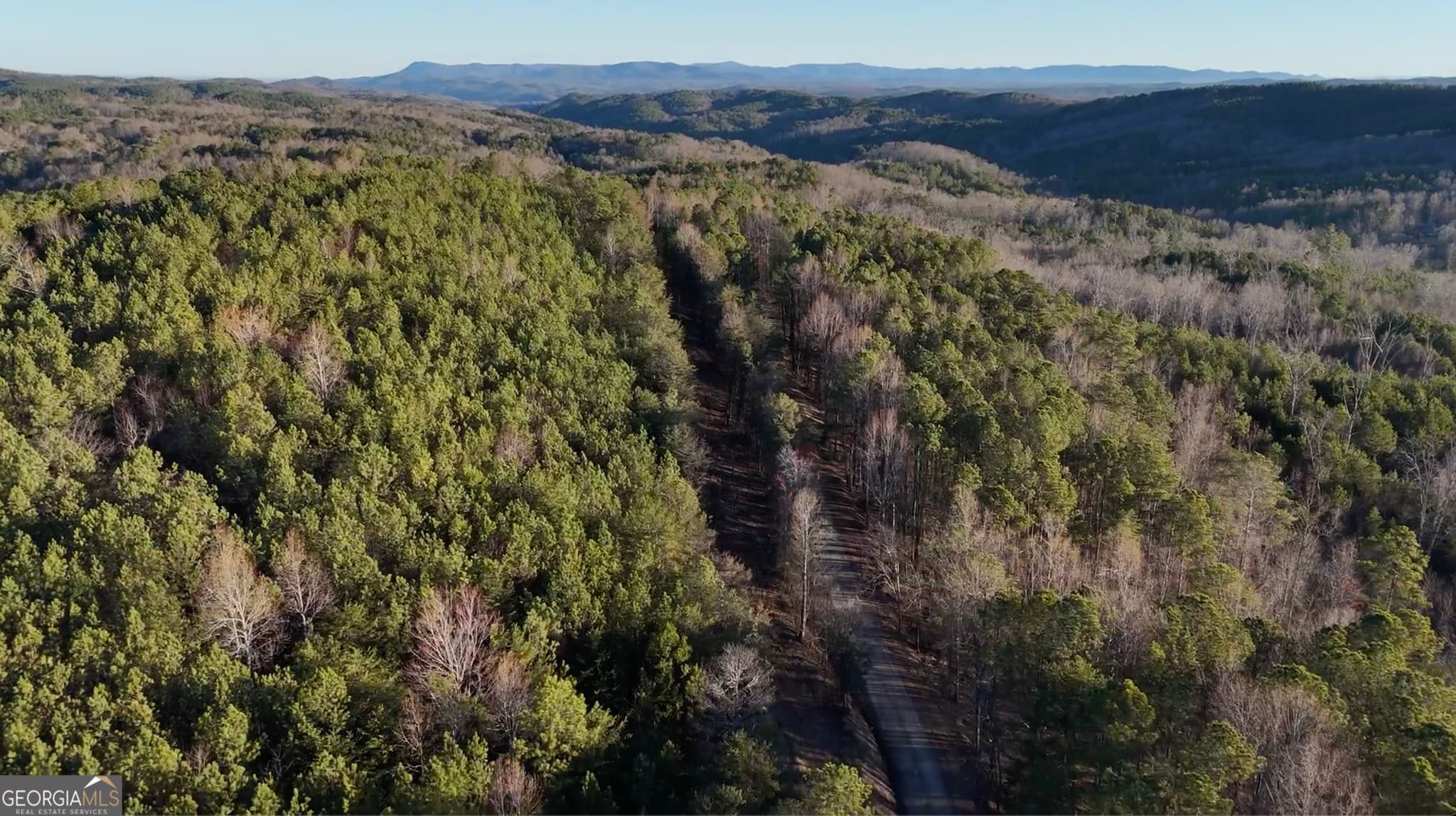 estate lot for sale at 6 WEST Dry Pond Road LOT #6 WEST, Ranger, GA 30734 — photo 3