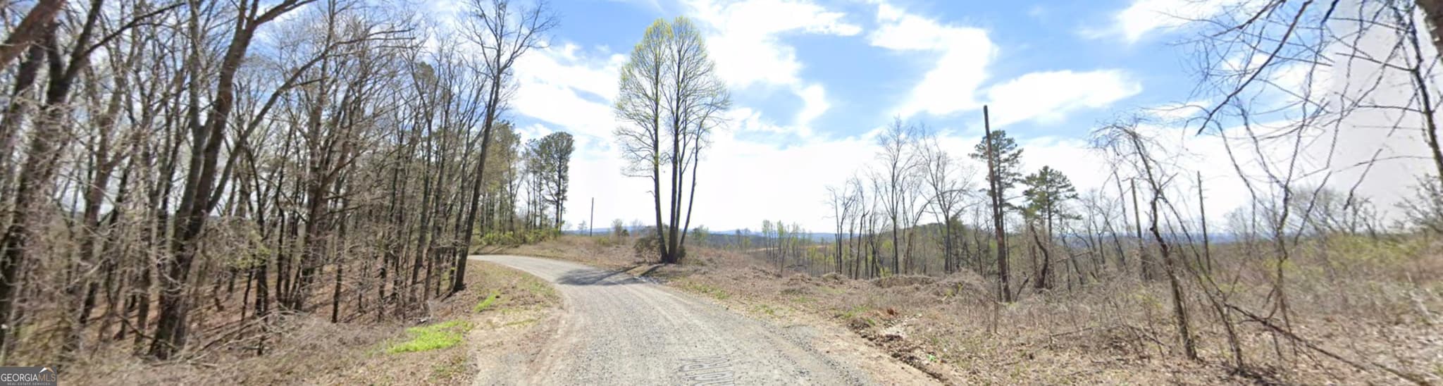 estate lot for sale at 6 WEST Dry Pond Road LOT #6 WEST, Ranger, GA 30734 — photo 9