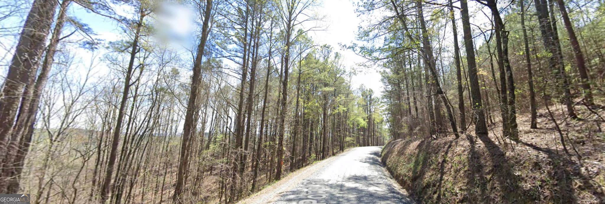 estate lot for sale at 6 WEST Dry Pond Road LOT #6 WEST, Ranger, GA 30734 — photo 10