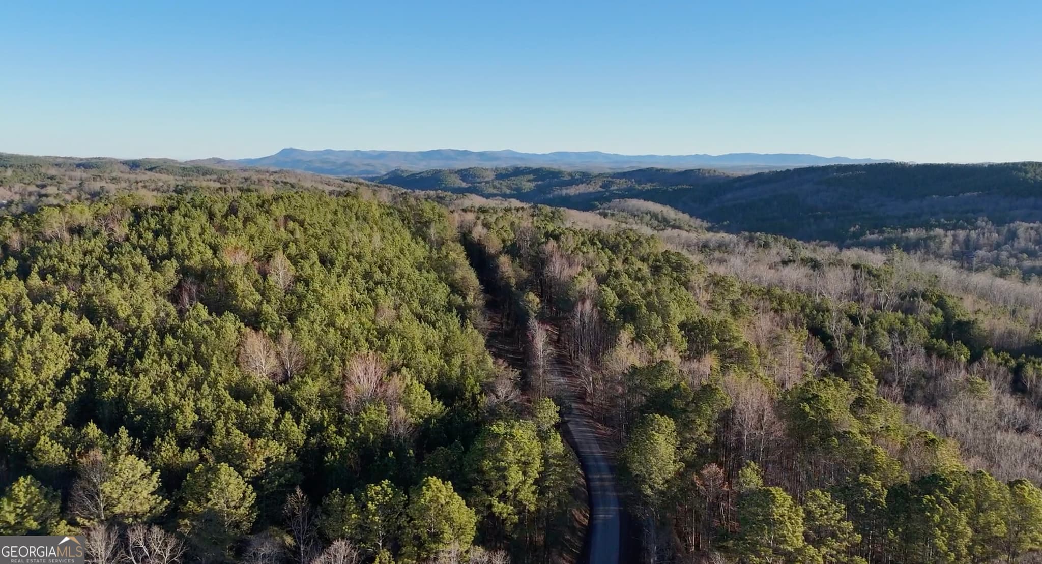 estate lot for sale at 6 WEST Dry Pond Road LOT #6 WEST, Ranger, GA 30734 — photo 8