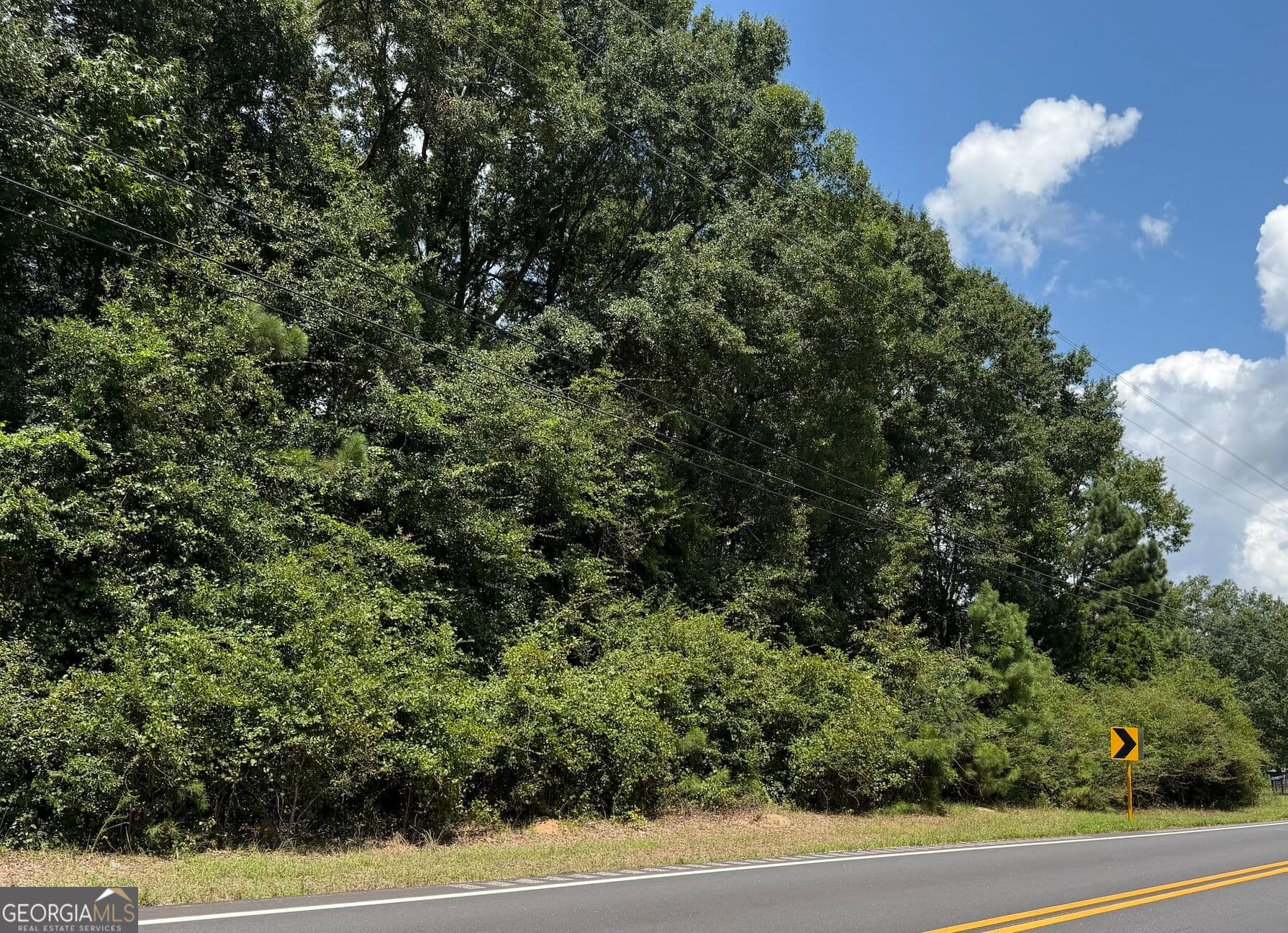 residential lot for sale at 0 US-431, Lafayette, AL 36862 — photo 2