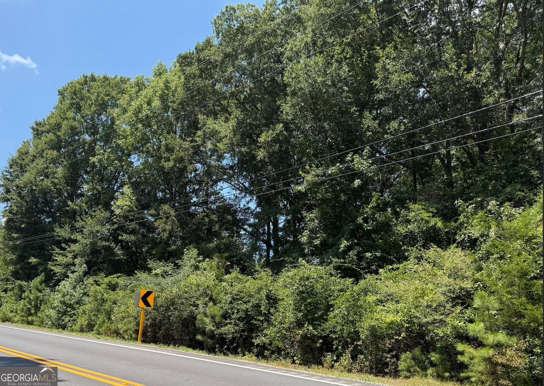 residential lot for sale at 0 US-431, Lafayette, AL 36862 — photo 3