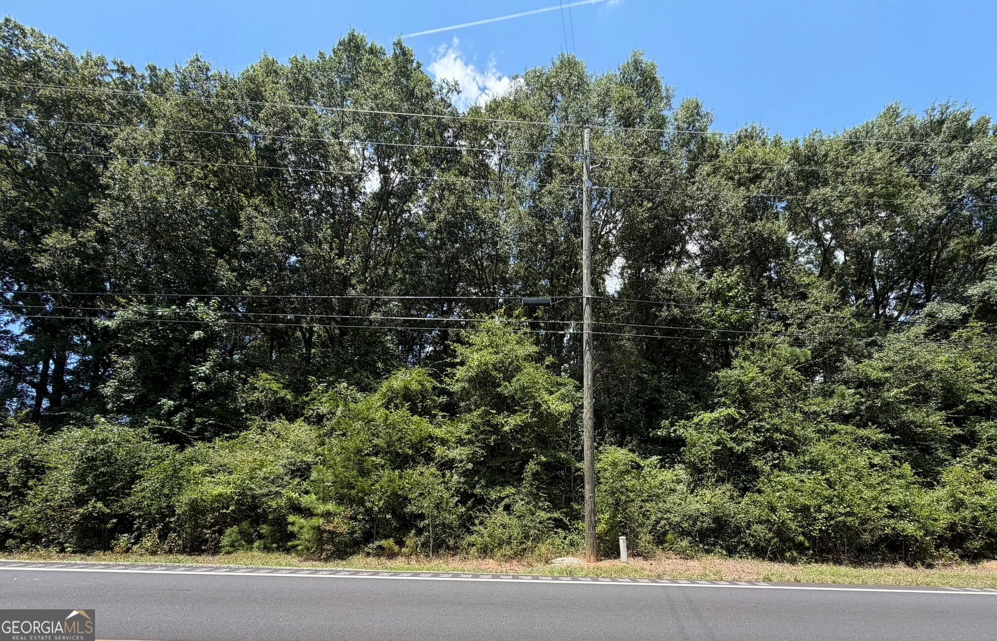 residential lot for sale at 0 US-431, Lafayette, AL 36862