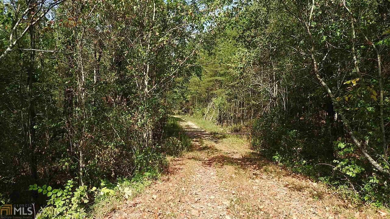 agriculture for sale at 0 NE Nicklesville Road 9637, Ranger, GA 30734 — photo 2