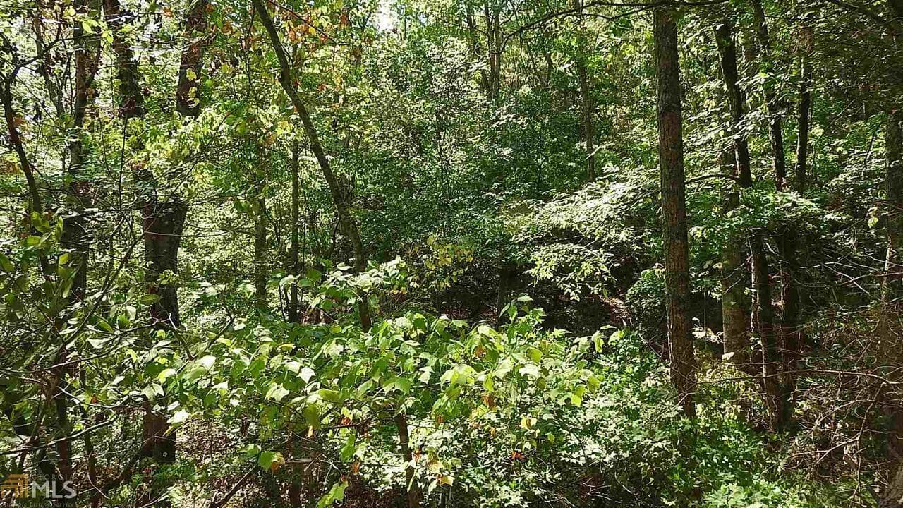 agriculture for sale at 0 NE Nicklesville Road 9637, Ranger, GA 30734 — photo 7