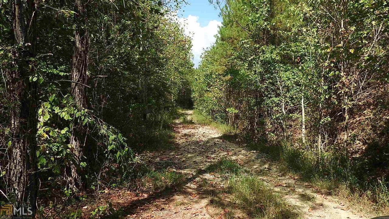 agriculture for sale at 0 NE Nicklesville Road 9637, Ranger, GA 30734 — photo 3