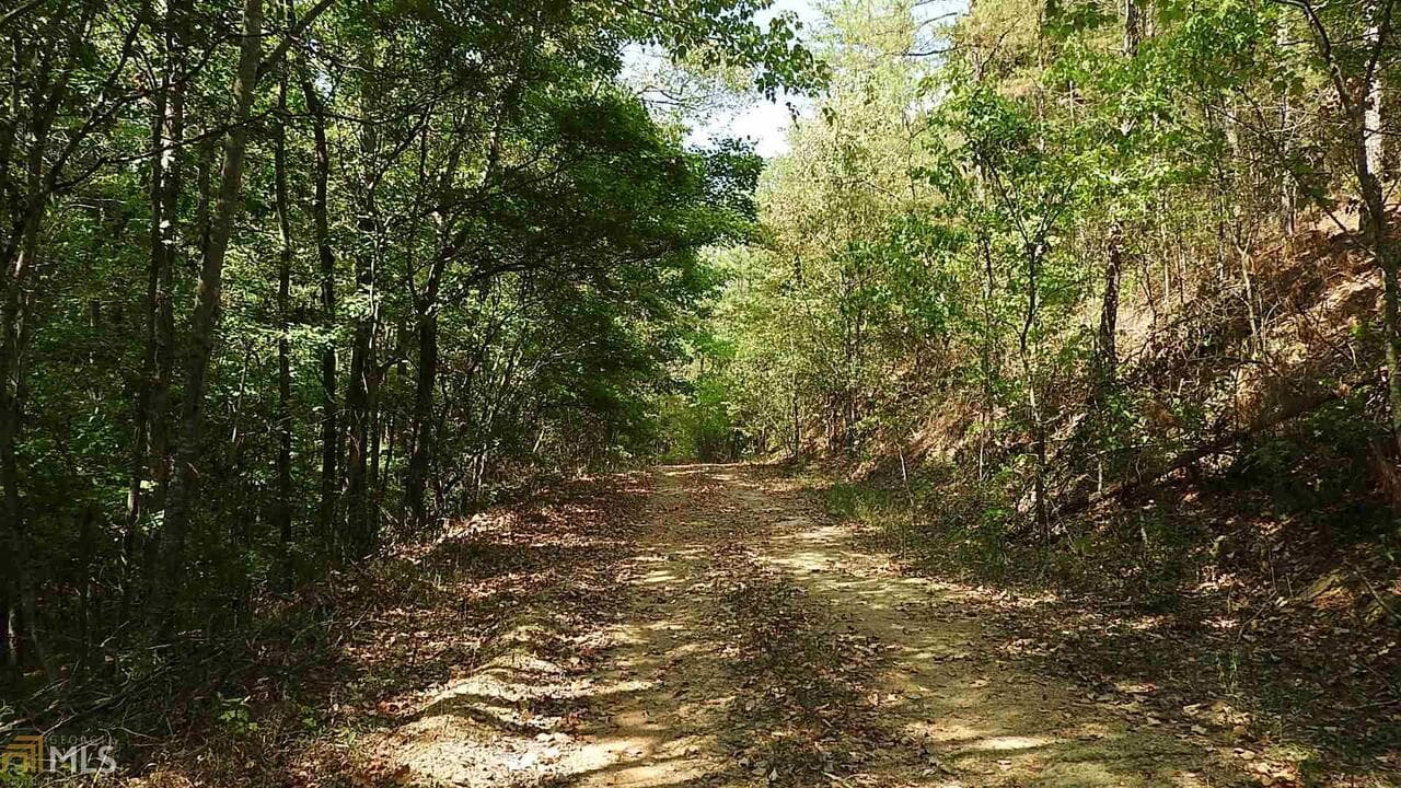 agriculture for sale at 0 NE Nicklesville Road 9637, Ranger, GA 30734 — photo 5