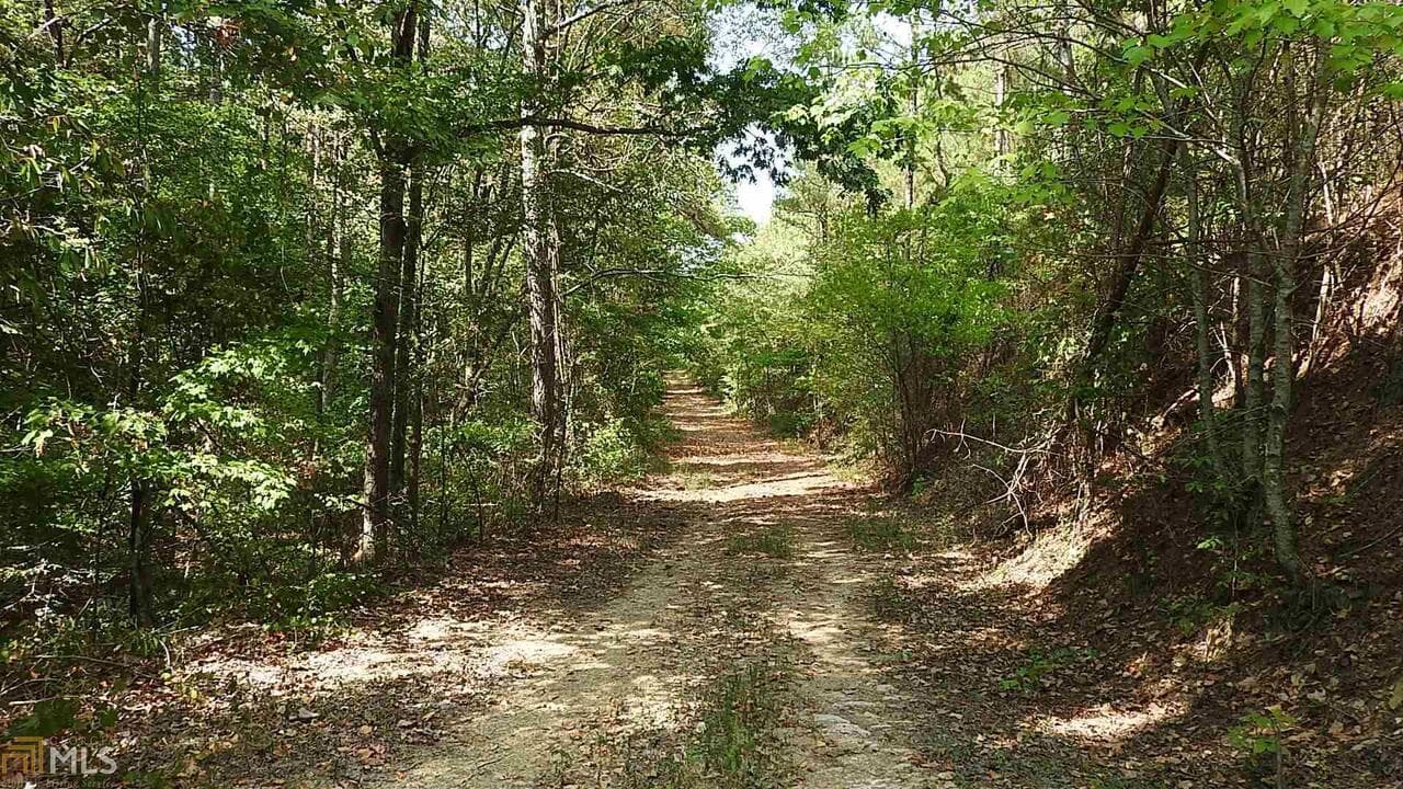 agriculture for sale at 0 NE Nicklesville Road 9637, Ranger, GA 30734 — photo 9