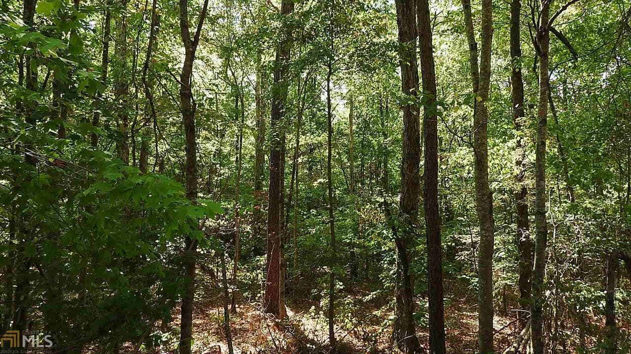 agriculture for sale at 0 NE Nicklesville Road 9637, Ranger, GA 30734 — photo 10