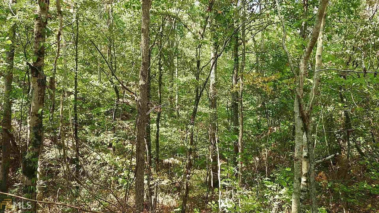 agriculture for sale at 0 NE Nicklesville Road 9637, Ranger, GA 30734 — photo 4