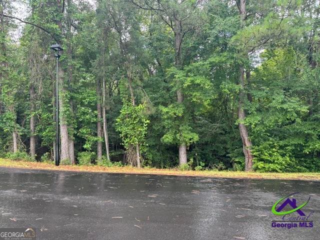 residential lot for sale at 172 Waters Pointe, Lizella, GA 31052 — photo 2