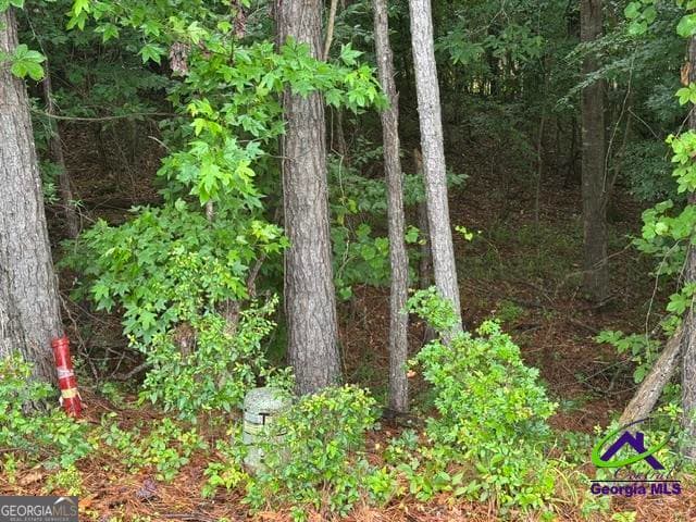 residential lot for sale at 172 Waters Pointe, Lizella, GA 31052 — photo 3