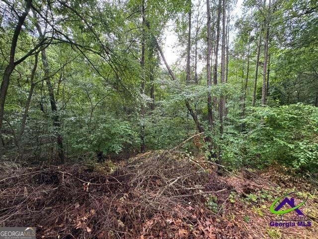 residential lot for sale at 172 Waters Pointe, Lizella, GA 31052 — photo 1 of 13