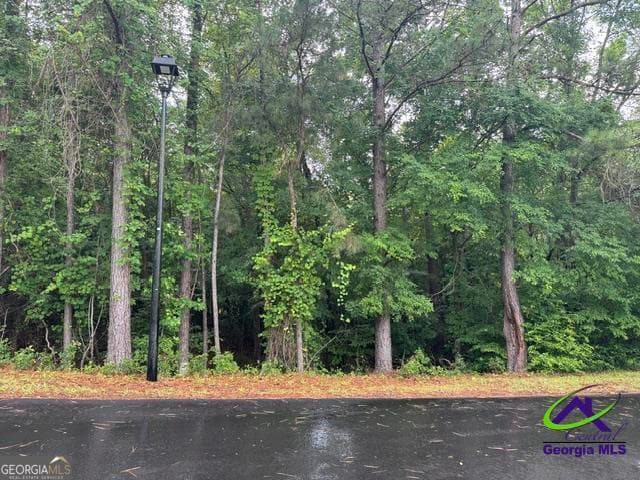 residential lot for sale at 172 Waters Pointe, Lizella, GA 31052 — photo 5