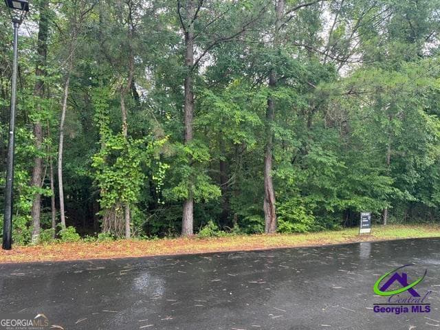 residential lot for sale at 172 Waters Pointe, Lizella, GA 31052 — photo 4