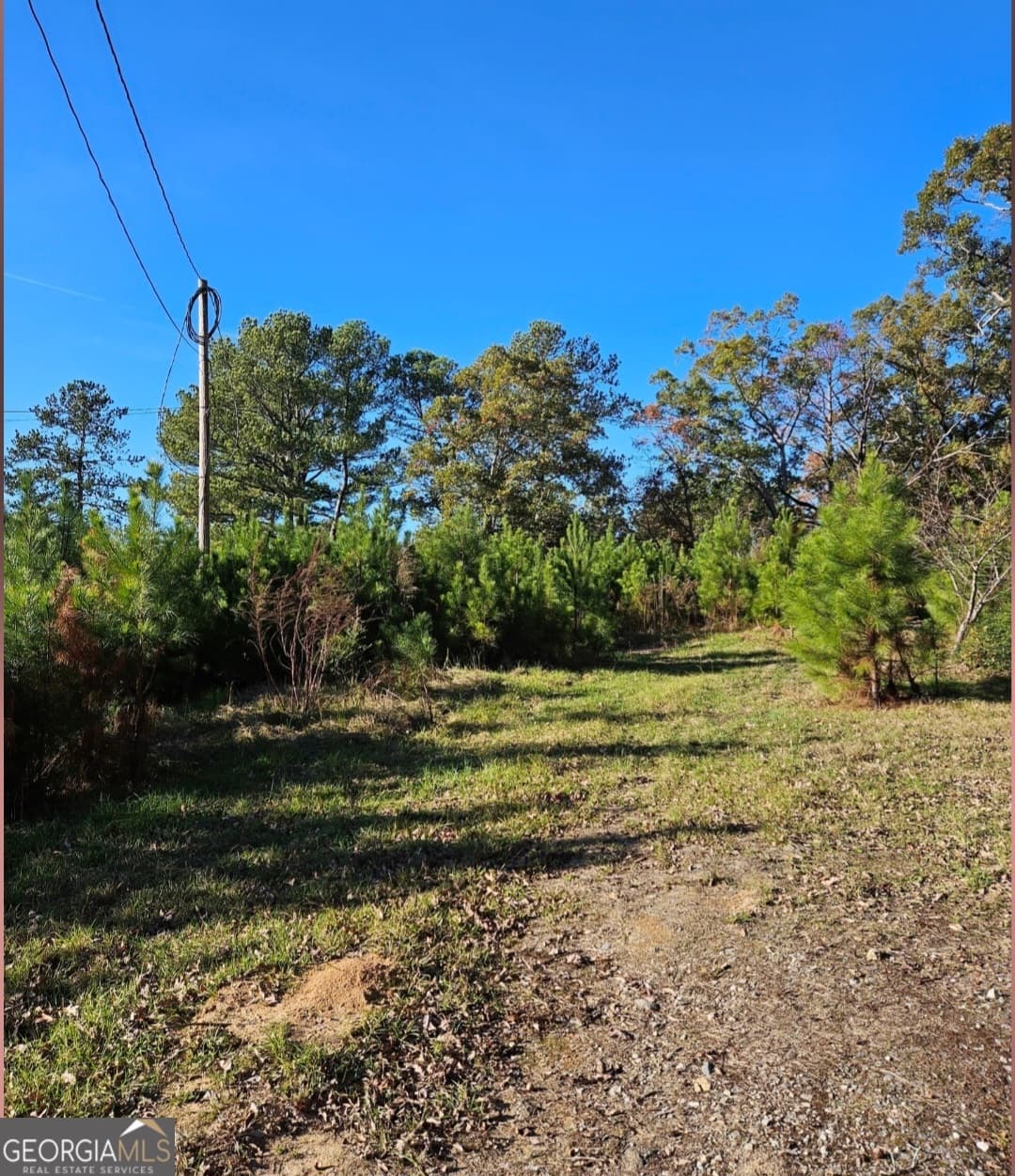 agriculture for sale at 1993 Smyrna Road, Conyers, GA 30094 — photo 7