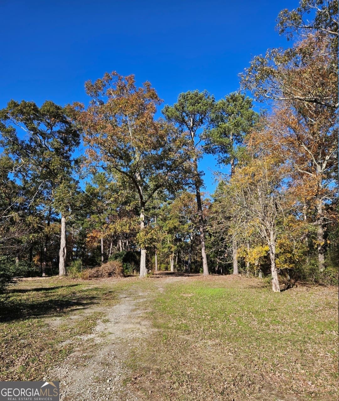 agriculture for sale at 1993 Smyrna Road, Conyers, GA 30094 — photo 5