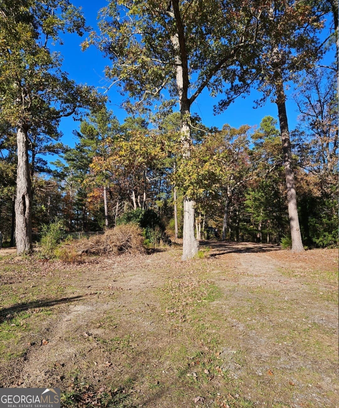agriculture for sale at 1993 Smyrna Road, Conyers, GA 30094 — photo 9