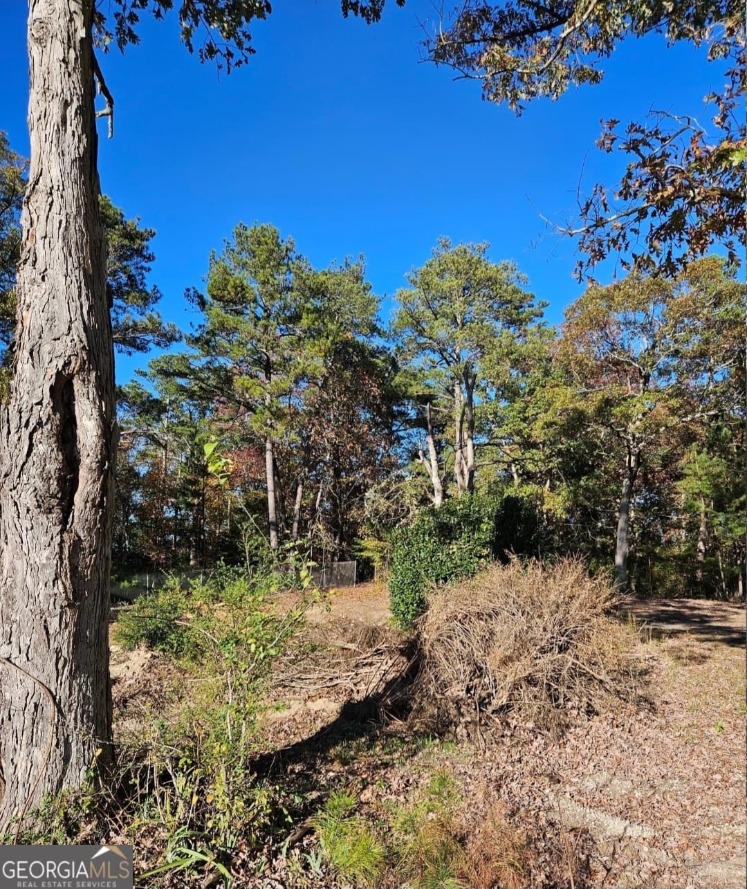 agriculture for sale at 1993 Smyrna Road, Conyers, GA 30094 — photo 10