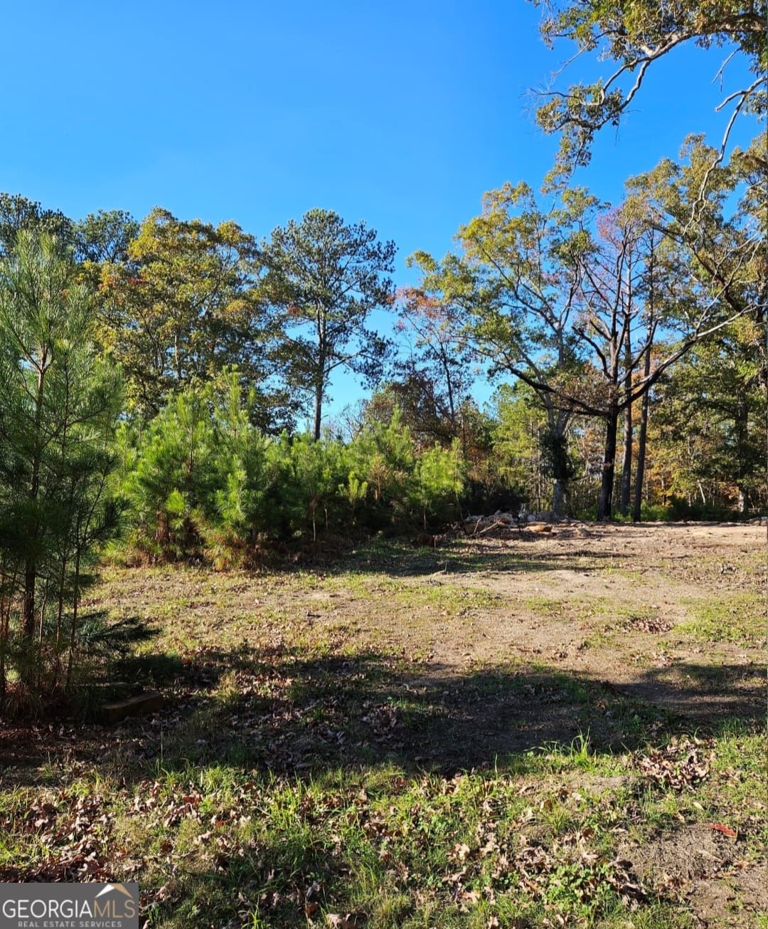 agriculture for sale at 1993 Smyrna Road, Conyers, GA 30094 — photo 8