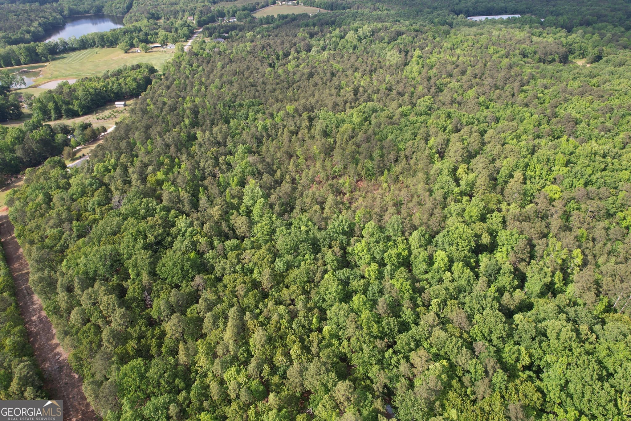 agriculture for sale at 339 Oliver Road, Meansville, GA 30256 — photo 6
