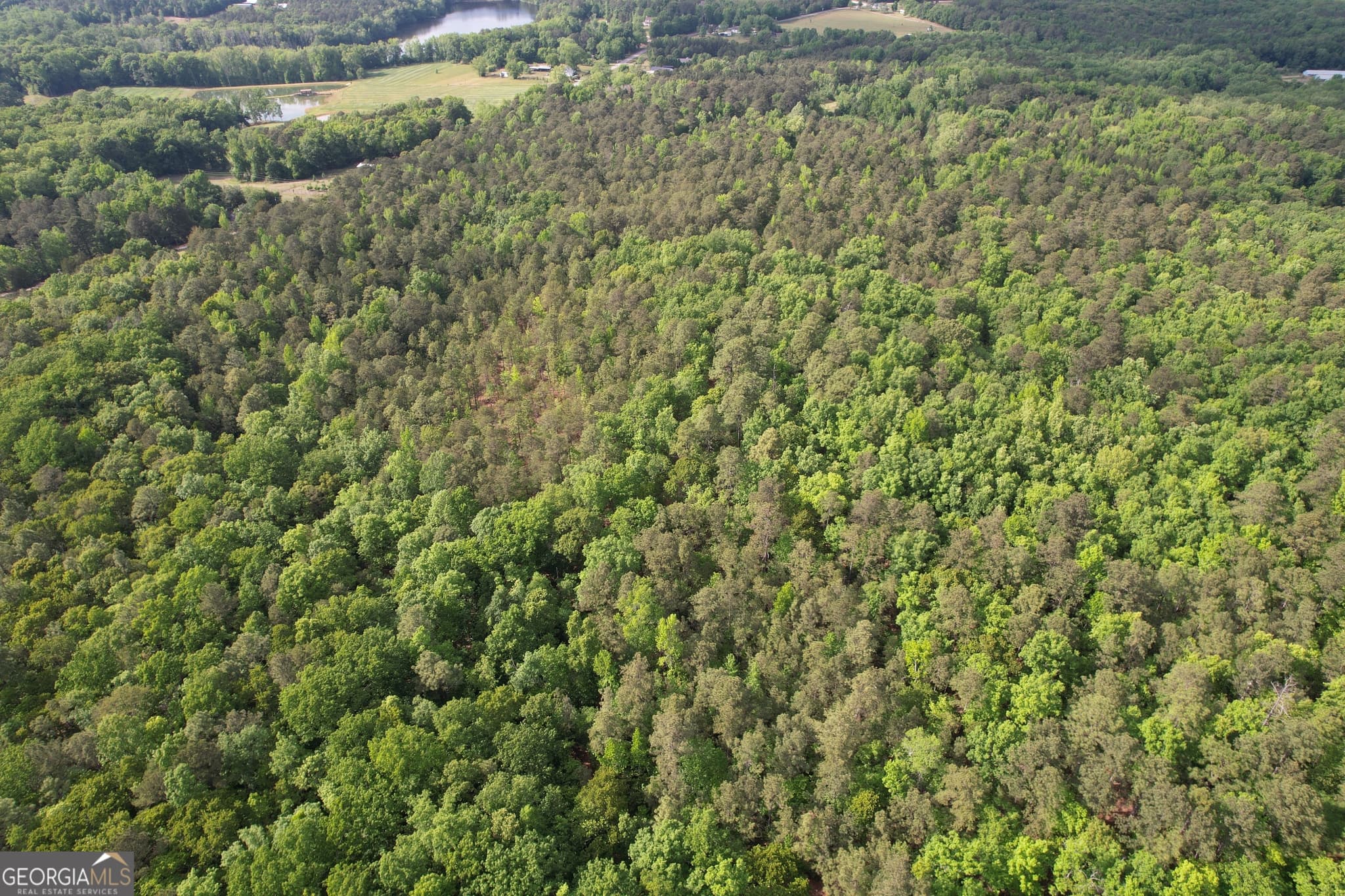 agriculture for sale at 339 Oliver Road, Meansville, GA 30256 — photo 7
