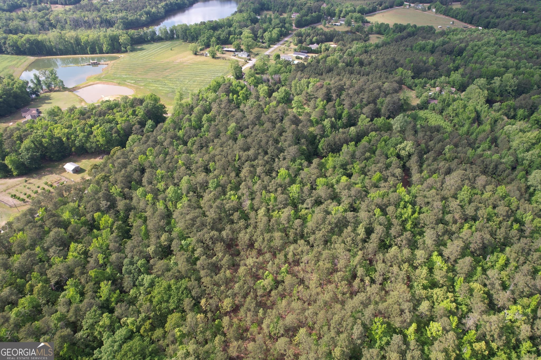 agriculture for sale at 339 Oliver Road, Meansville, GA 30256 — photo 9