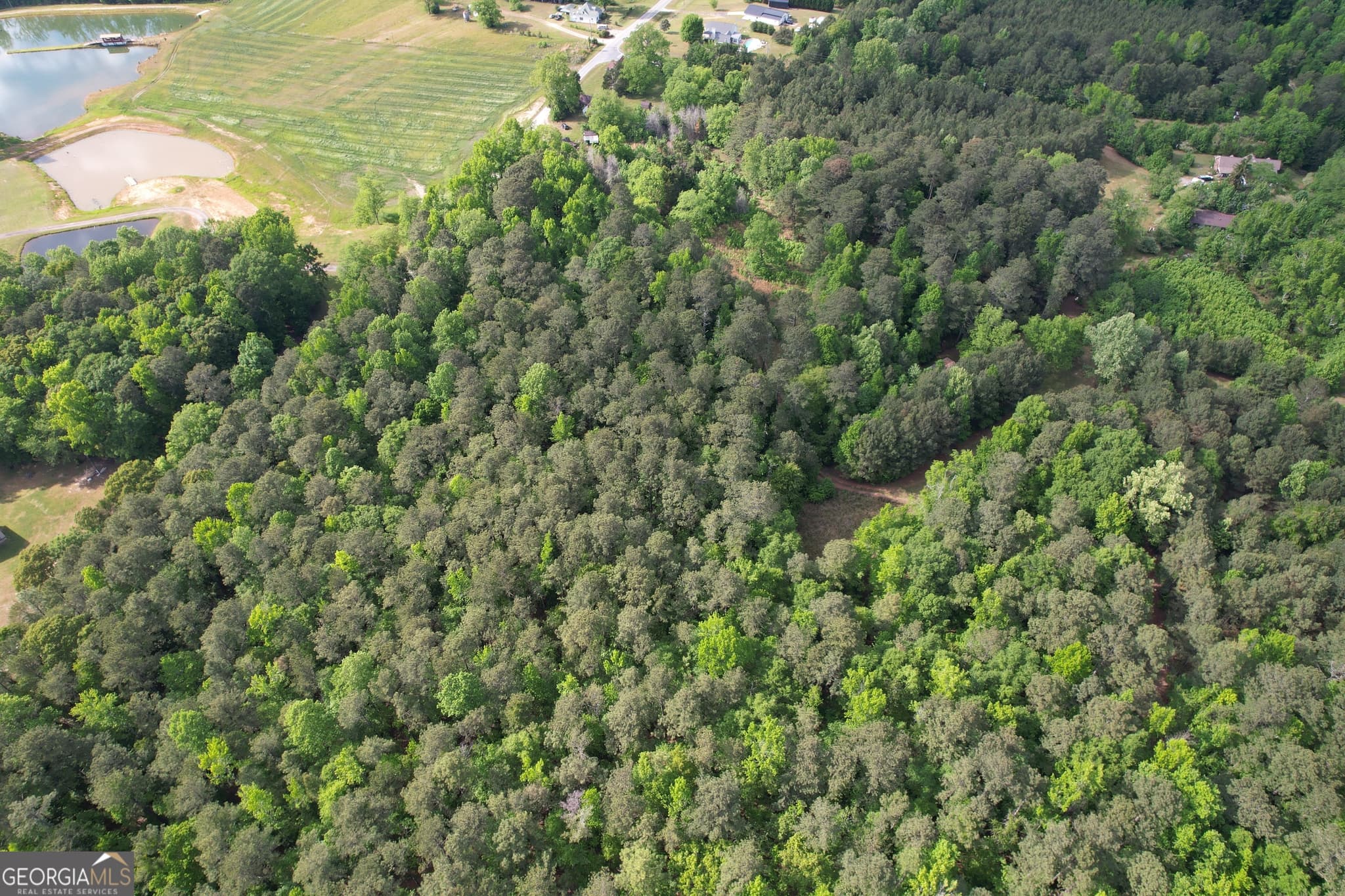 agriculture for sale at 339 Oliver Road, Meansville, GA 30256 — photo 10