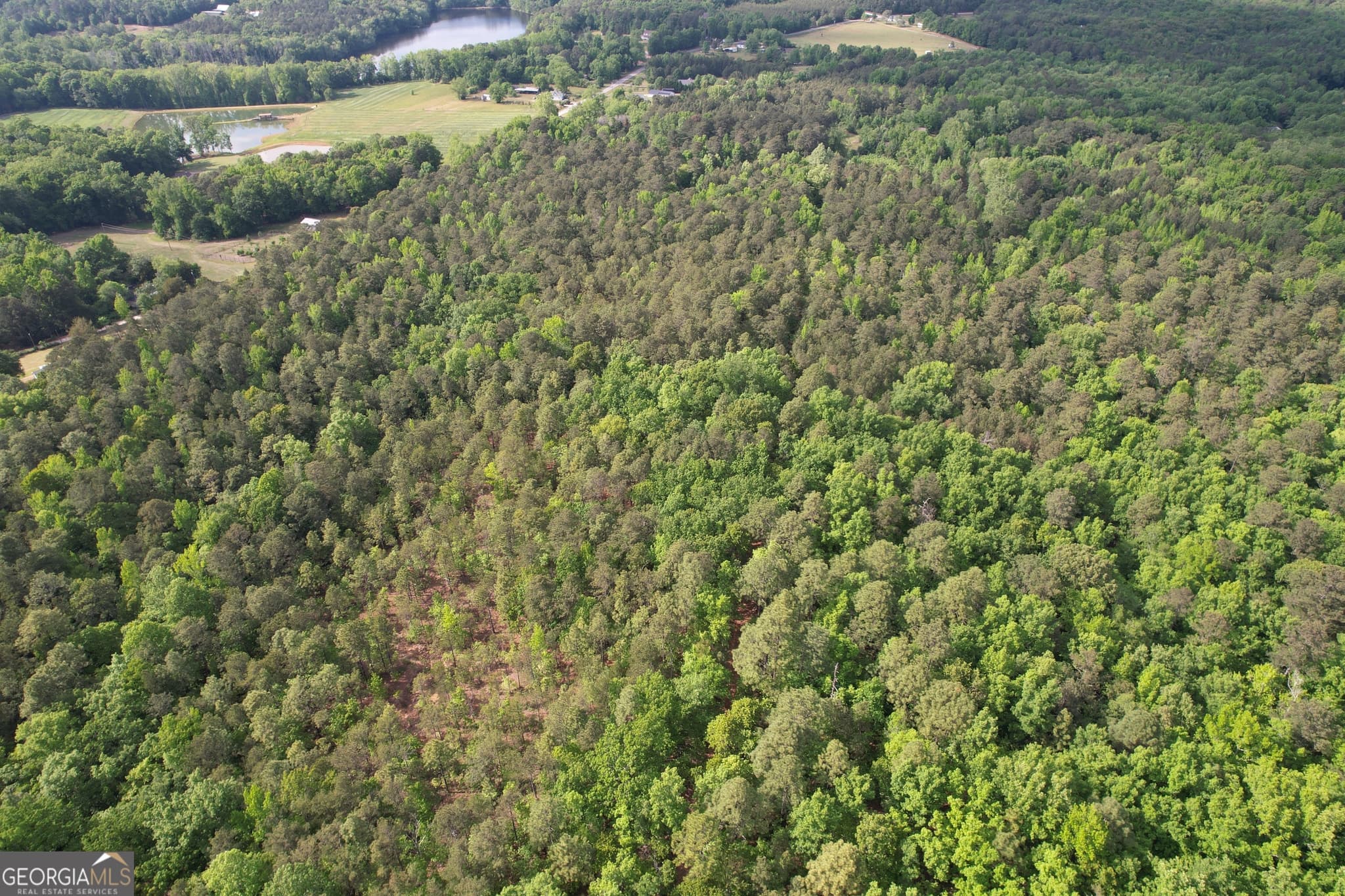 agriculture for sale at 339 Oliver Road, Meansville, GA 30256 — photo 8