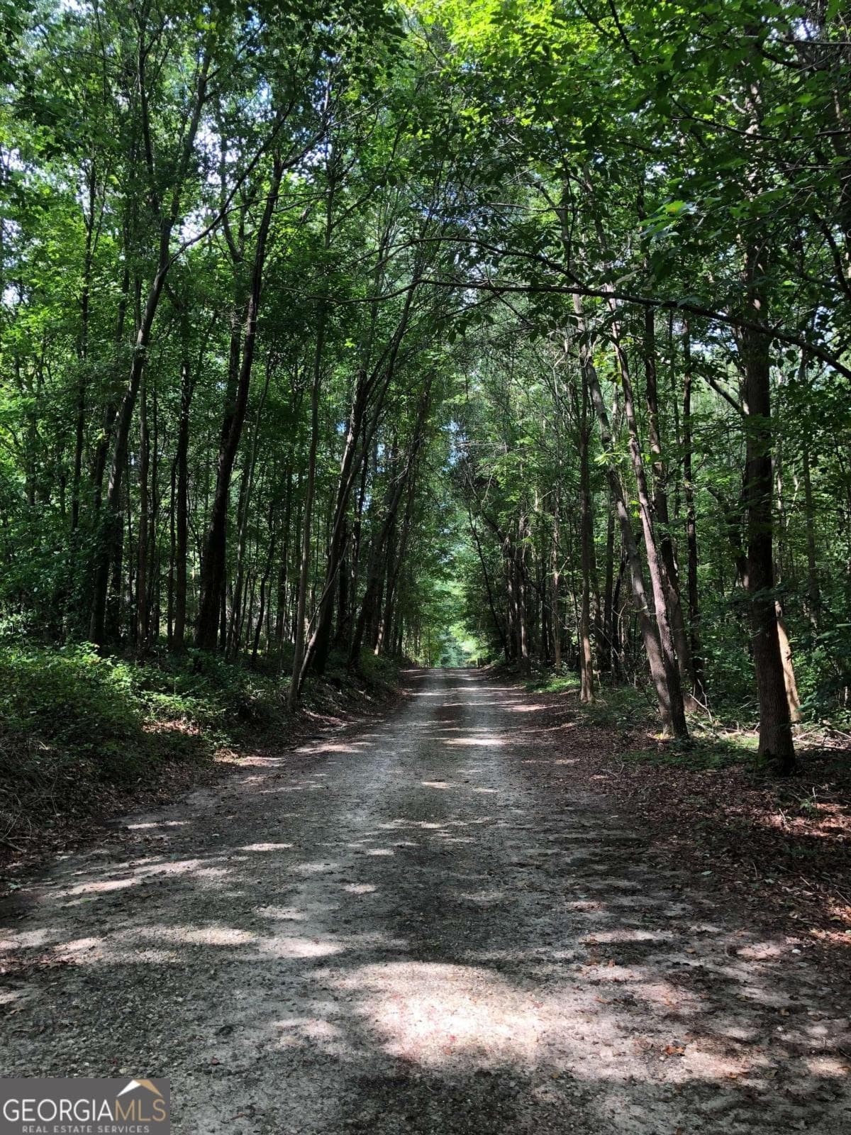 residential lot for sale at 209 Alice Moss Lane, Alto, GA 30510 — photo 2