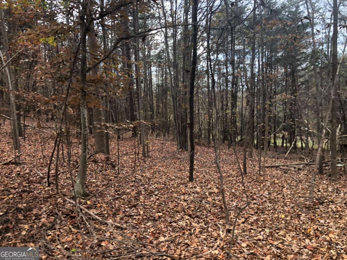 residential lot for sale at 209 Alice Moss Lane, Alto, GA 30510 — photo 6