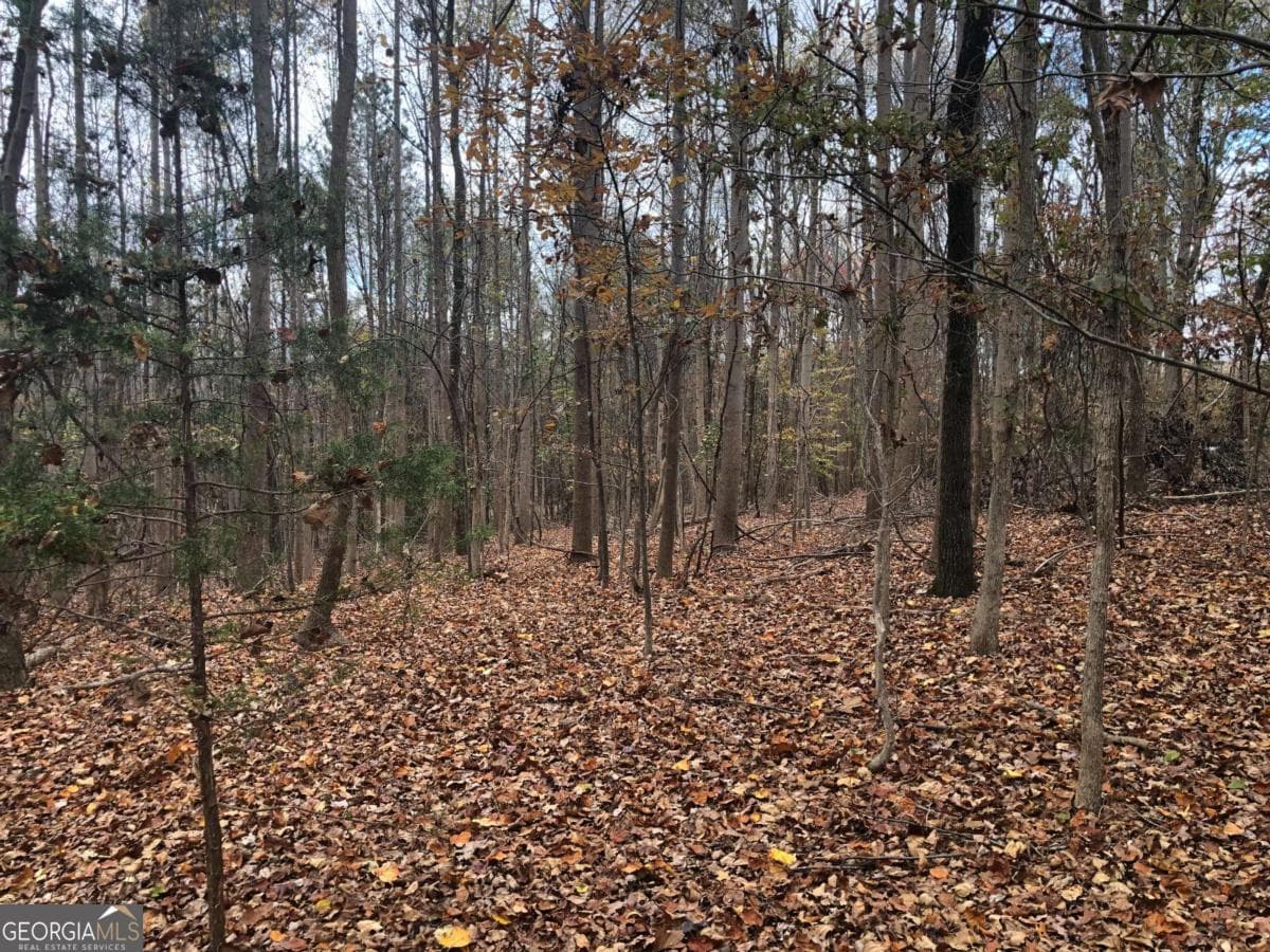 residential lot for sale at 209 Alice Moss Lane, Alto, GA 30510 — photo 7
