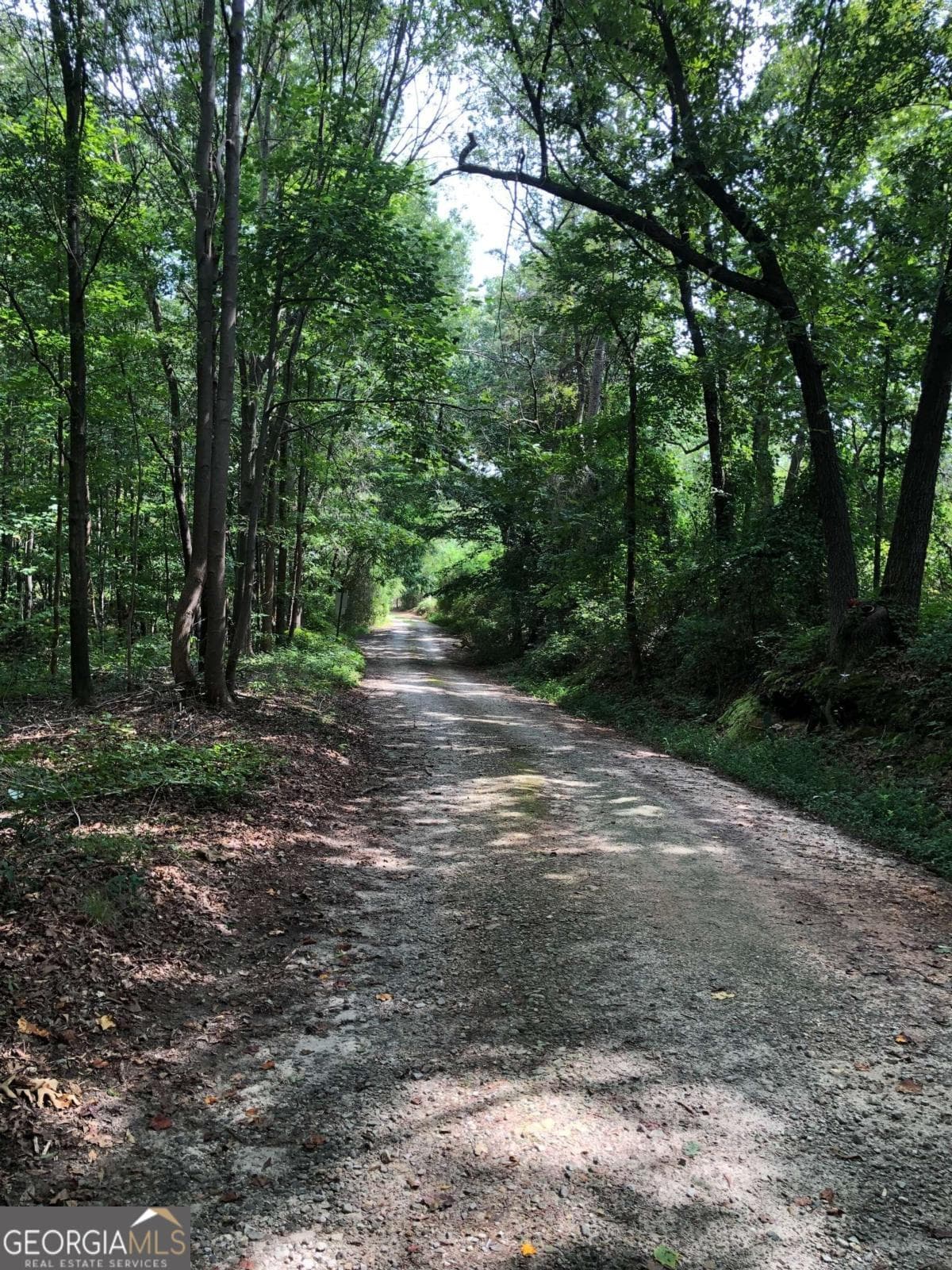 residential lot for sale at 209 Alice Moss Lane, Alto, GA 30510 — photo 1 of 13