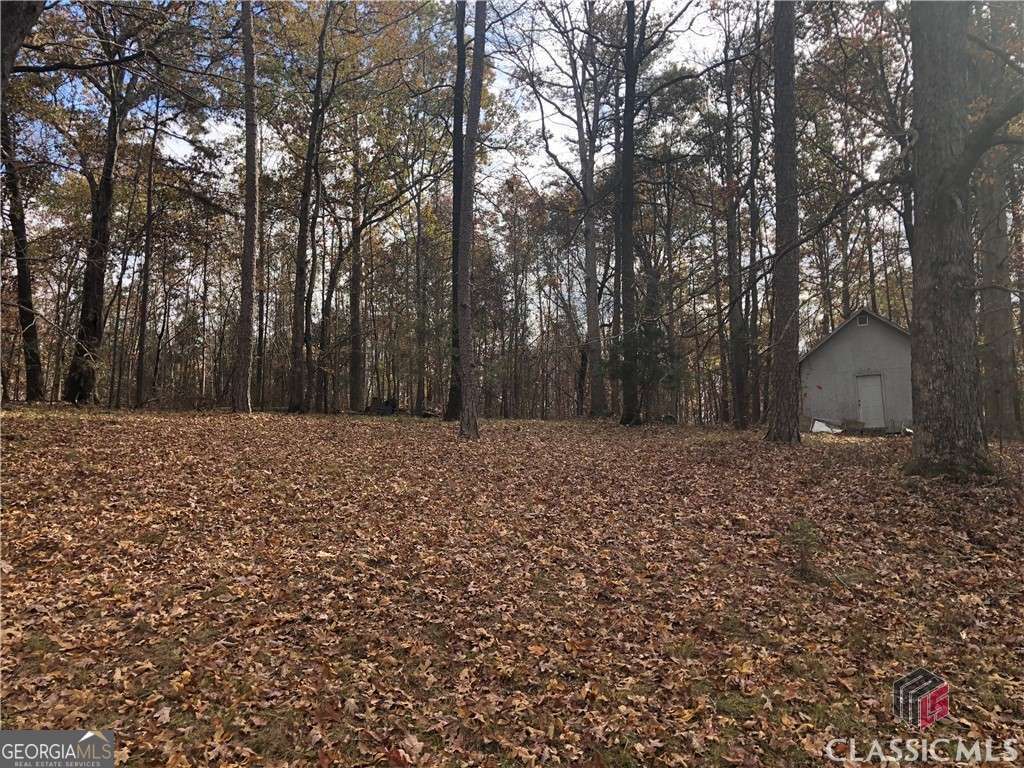 residential lot for sale at 209 Alice Moss Lane, Alto, GA 30510 — photo 5