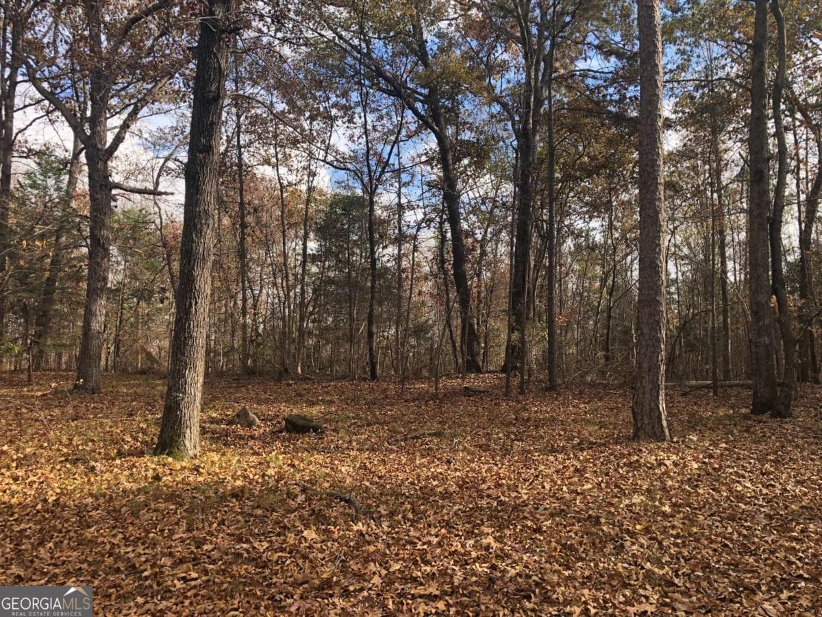 residential lot for sale at 209 Alice Moss Lane, Alto, GA 30510 — photo 10