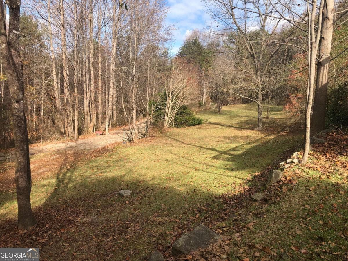 residential lot for sale at 209 Alice Moss Lane, Alto, GA 30510 — photo 4